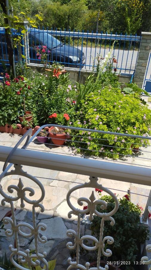 Vila Marmelada Λεπτοκαρυά Εξωτερικό φωτογραφία